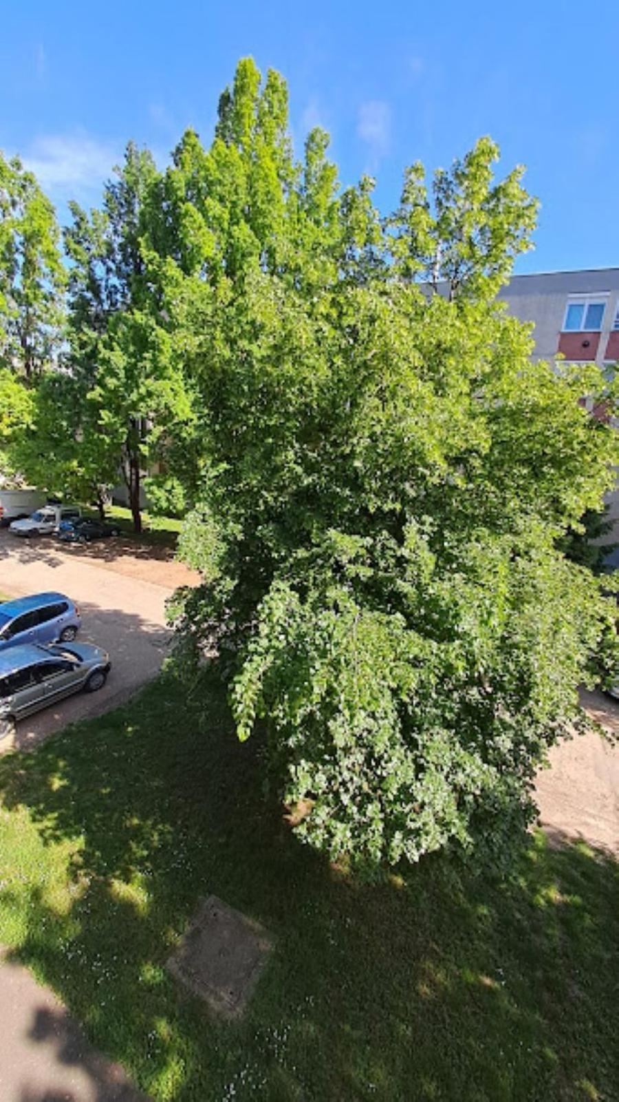 Szilfak City Apartman Hajdúszoboszló Exteriör bild